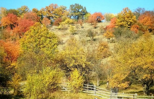 Ötlinger Halde(FILEminimizer)
