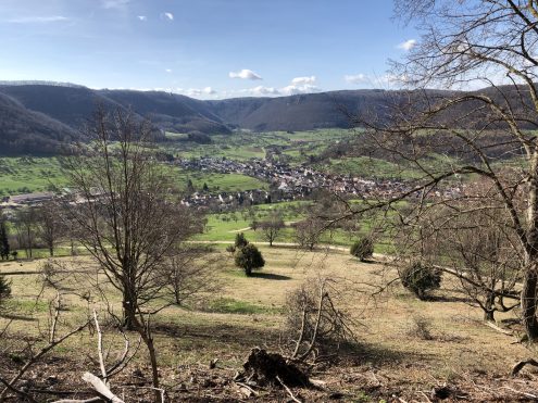 20240315_092242418_iOS